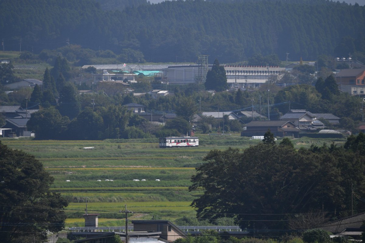 pyonta55go's tweet photo. 南阿蘇鉄道
可愛い列車を追いかけてみました。
自然豊かな中トコトコ走る感じが良いですね。 https://t.co/oWDpTUs14K
