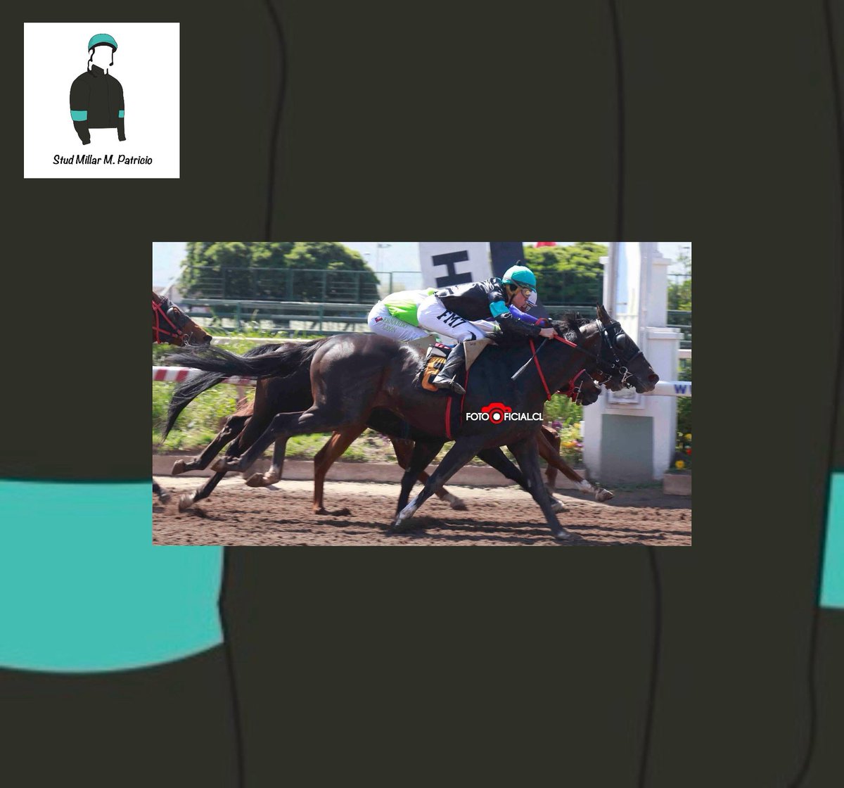 Tetra Goleador Z, del stud <a href="/pmillarm/">Patricio Millar</a> , ganó en el <a href="/hipodromo_chile/">Hipódromo Chile</a> , felicitamos a su propietario y panelista de <a href="/Pasionporlahip/">PASIÓN por la HÍPICA</a>. Fabián Medina, montó a la pensionista de Aníbal Norambuena. ¡Felicitaciones a su equipo! 🎉 (📸: <a href="/FOTOOFICIALCH/">WWW.FOTOOFICIAL.CL</a>