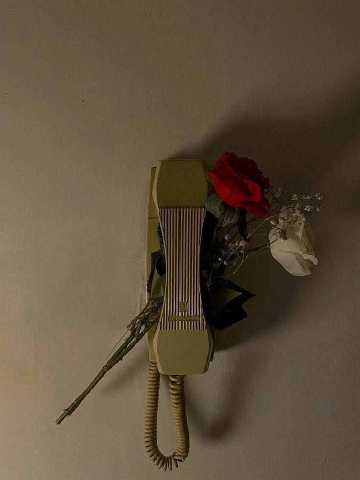 🥀

Ziyan değildir sevmenin asr'ı,

Ziyan olan, sevmeyen bir kalbin nasırı...

🥀