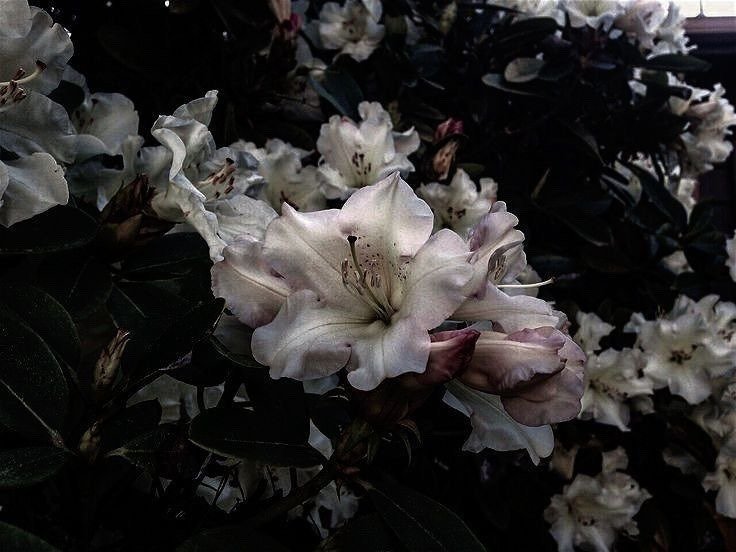 rrevng's tweet image. 