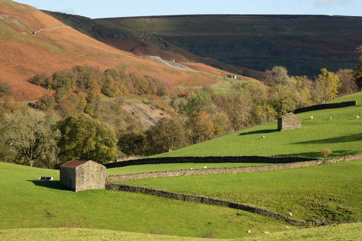 Happy Friday! If you're around the National Park this weekend, please:

🐄 Be Cattle Aware - Cattle may become protective especially around calves 
🚮 Take Your Litter Home - Leave no trace
🏞️ Respect the Land, the community, and each other

📸 Wendy McDonnell