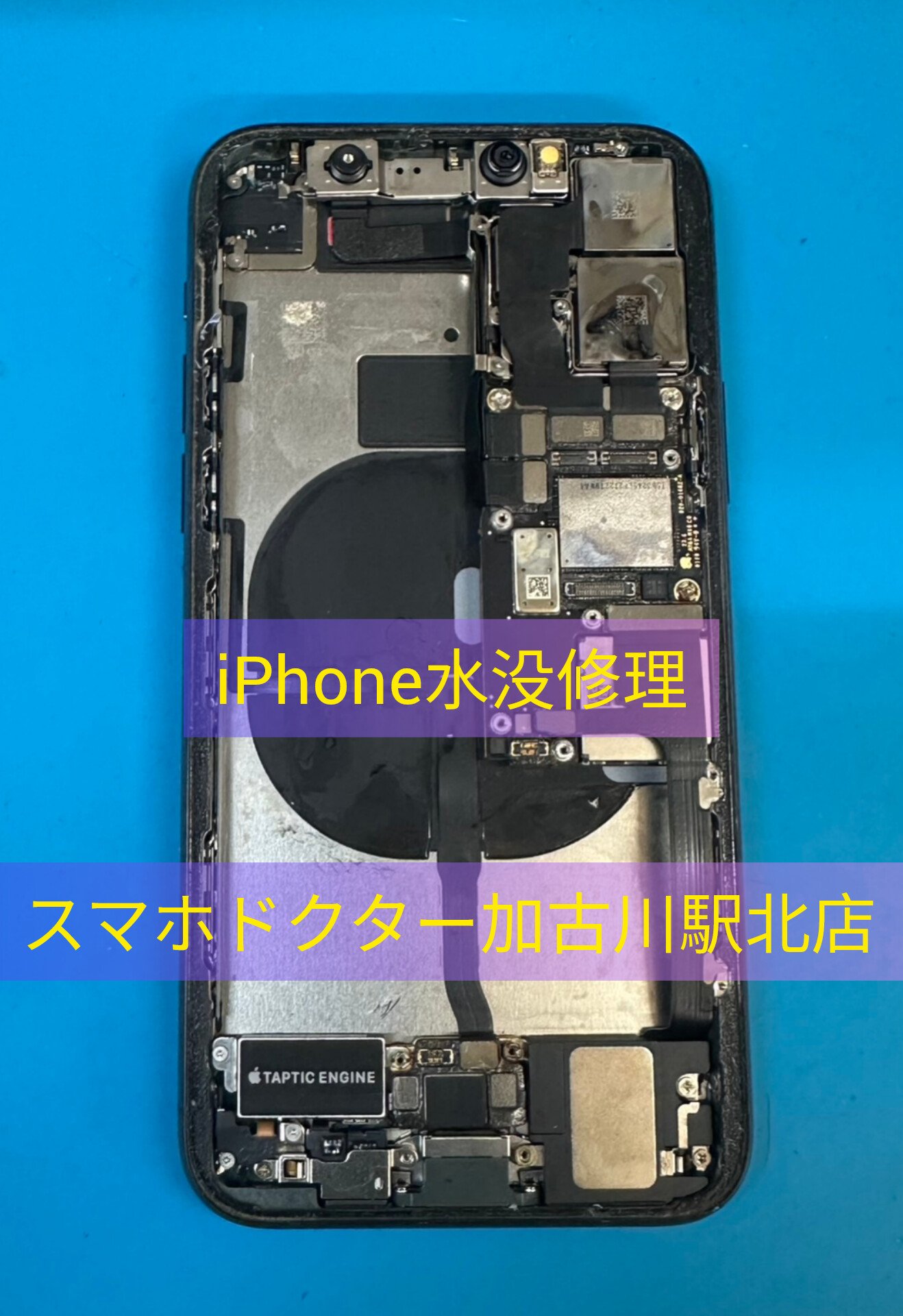 iPhone修理専門店《スマホドクター加古川駅前店》 on X: 