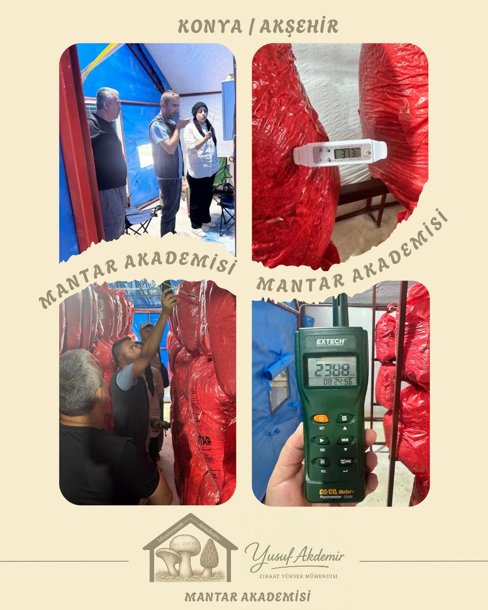 🍄Çalışmalarımız Devam Ediyor.🍄

📍#akşehir

İstiridye Mantarı

MAŞALLAH 👏👏👏

Tüm Üreticilerimize Hayırlı Helal Bol Kazançlar Dilerim.

#mantar #mushroom #tarımşehri #tarım #konya