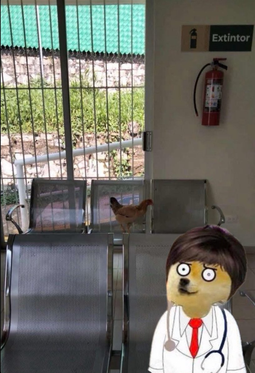 Una calificación no me define…
Yo llegando a mi sede del servicio social.