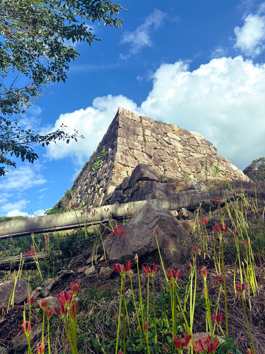 ゆき⛄️信長出陣 tweet media