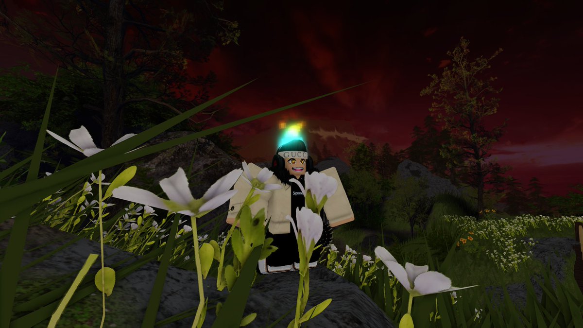 Lupa ini di gunung mana, tapi bagus banget! #Roblox