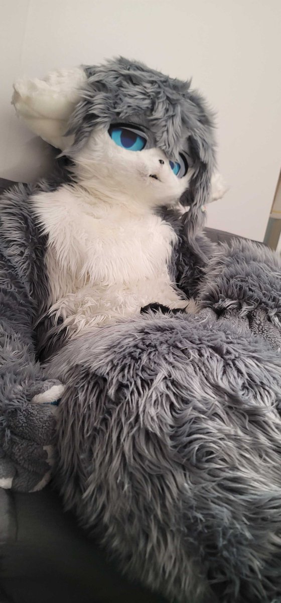 #FursuitsFriday
어디서든 누워있기