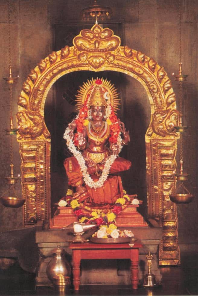 अनन्त त्रिपाठी tweet media