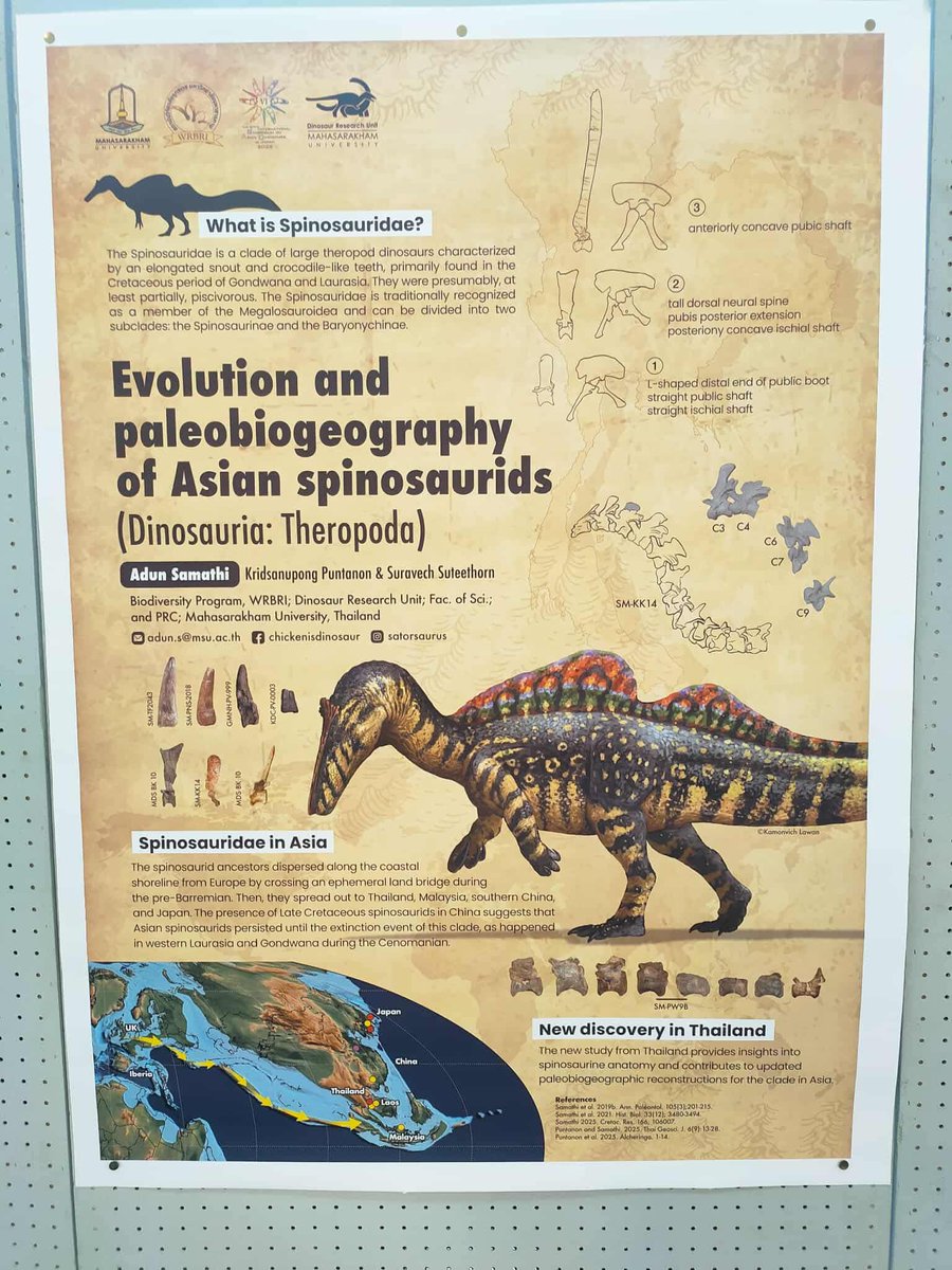Kmonvish LAWAN (@namosaurus) on Twitter photo Super excited! For sending my art to Japan! Got this opportunities to be commissioned by Adun Samathi (P’Adun) for this Asian spinosaurids poster <a href="/6thisad2025/">The 6th International Symposium on Asian Dinosaurs</a> #ISAD2025 Super excited! For sending my art to Japan! Got this opportunities to be commissioned by Adun Samathi (P’Adun) for this Asian spinosaurids poster <a href="/6thisad2025/">The 6th International Symposium on Asian Dinosaurs</a> #ISAD2025
