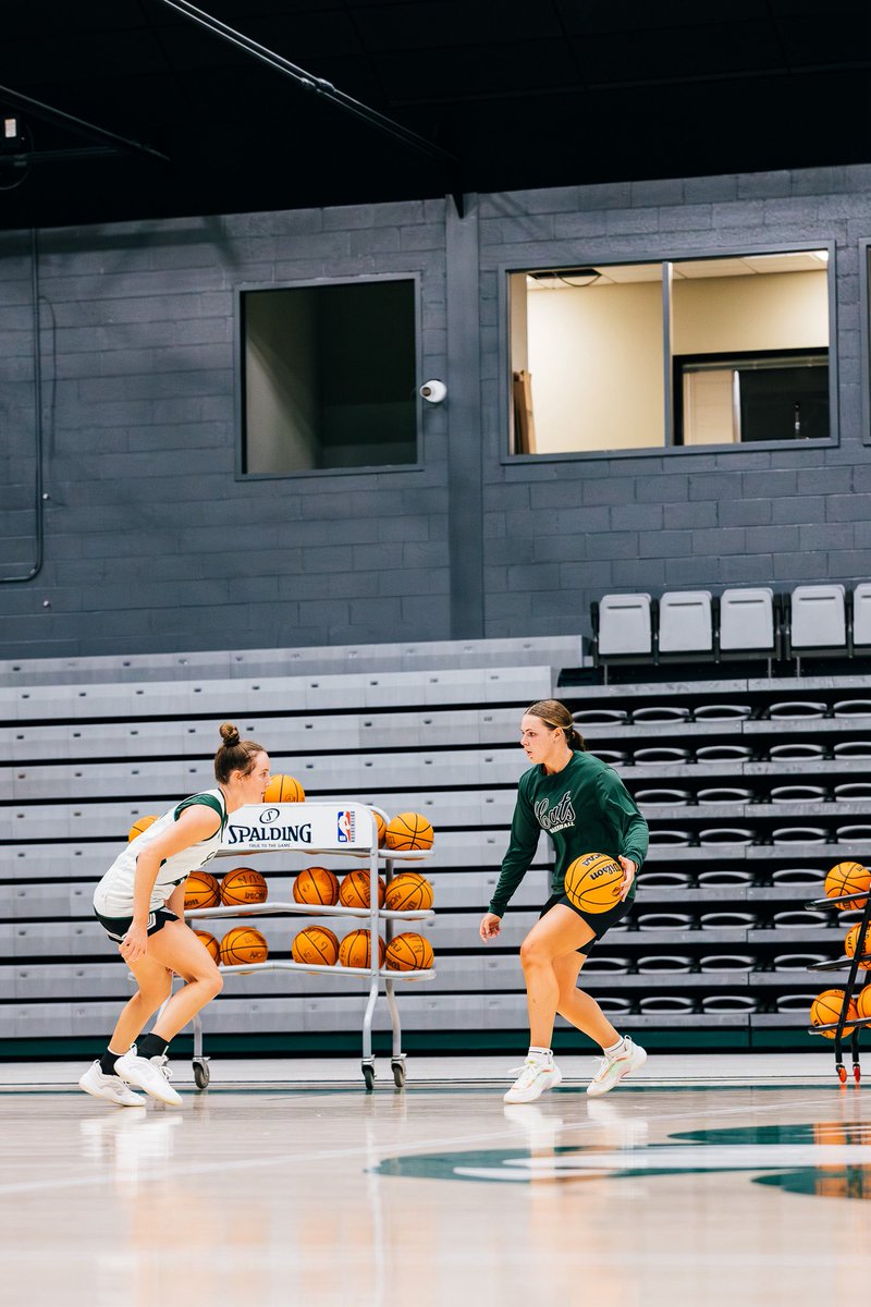 Bearcat WBB tweet media