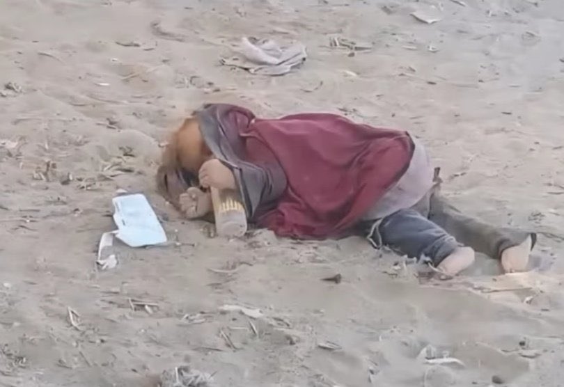 Elindeki biberonla öldürdüğünüz meleklerin hesabını vereceksiniz!
Bebek katilleri!
#wearesumud