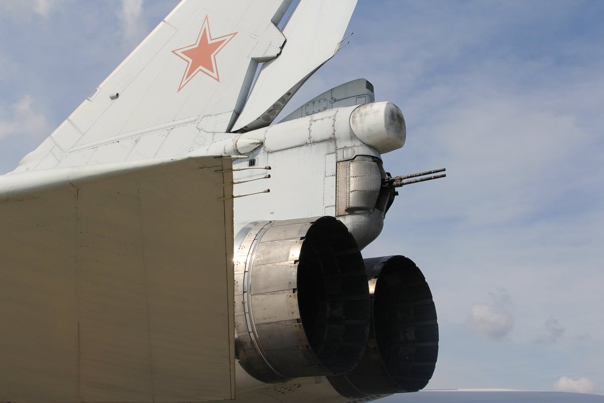 Apocalypse The Caribou tweet media