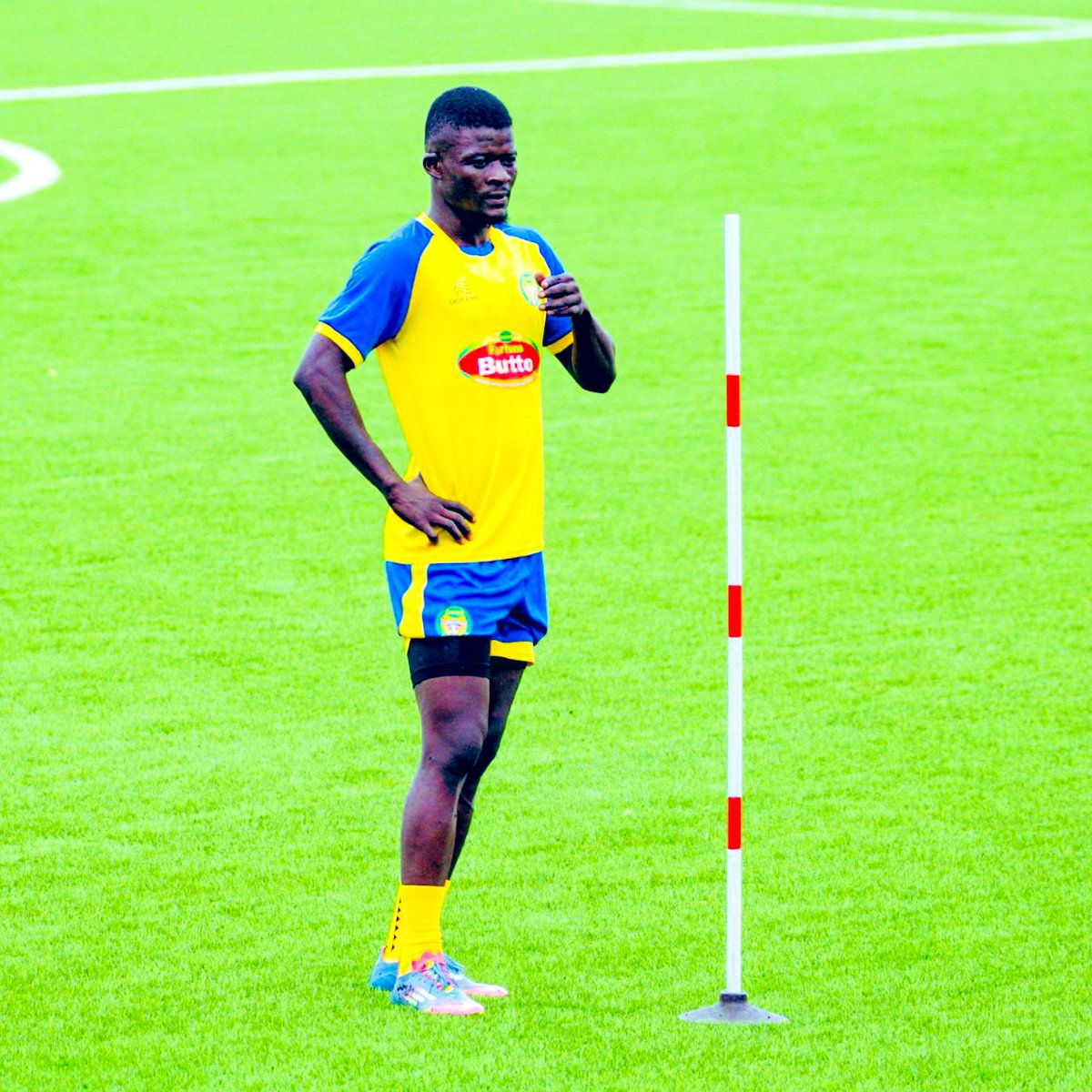 Ibrahim orit tweet media