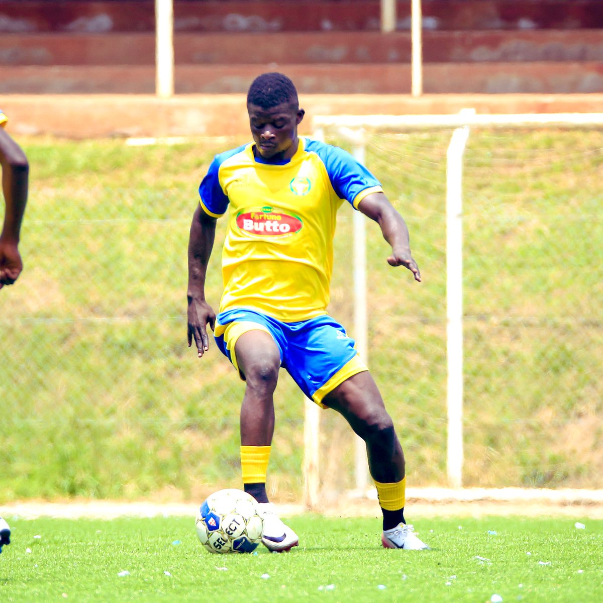 Ibrahim orit tweet media