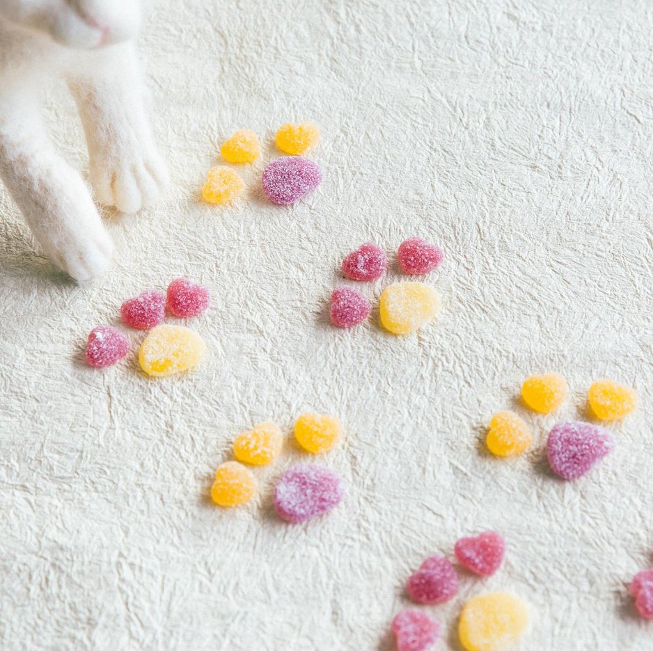 🐈
　 🐾
　　　🐾
毎月29日は『肉球デー』
　　    🐾
　　  🐾
　　　　  🐾
　　　　　　🐈‍⬛

ということで…
“もぐもぐしたくなる肉球”を置いておきます🙌