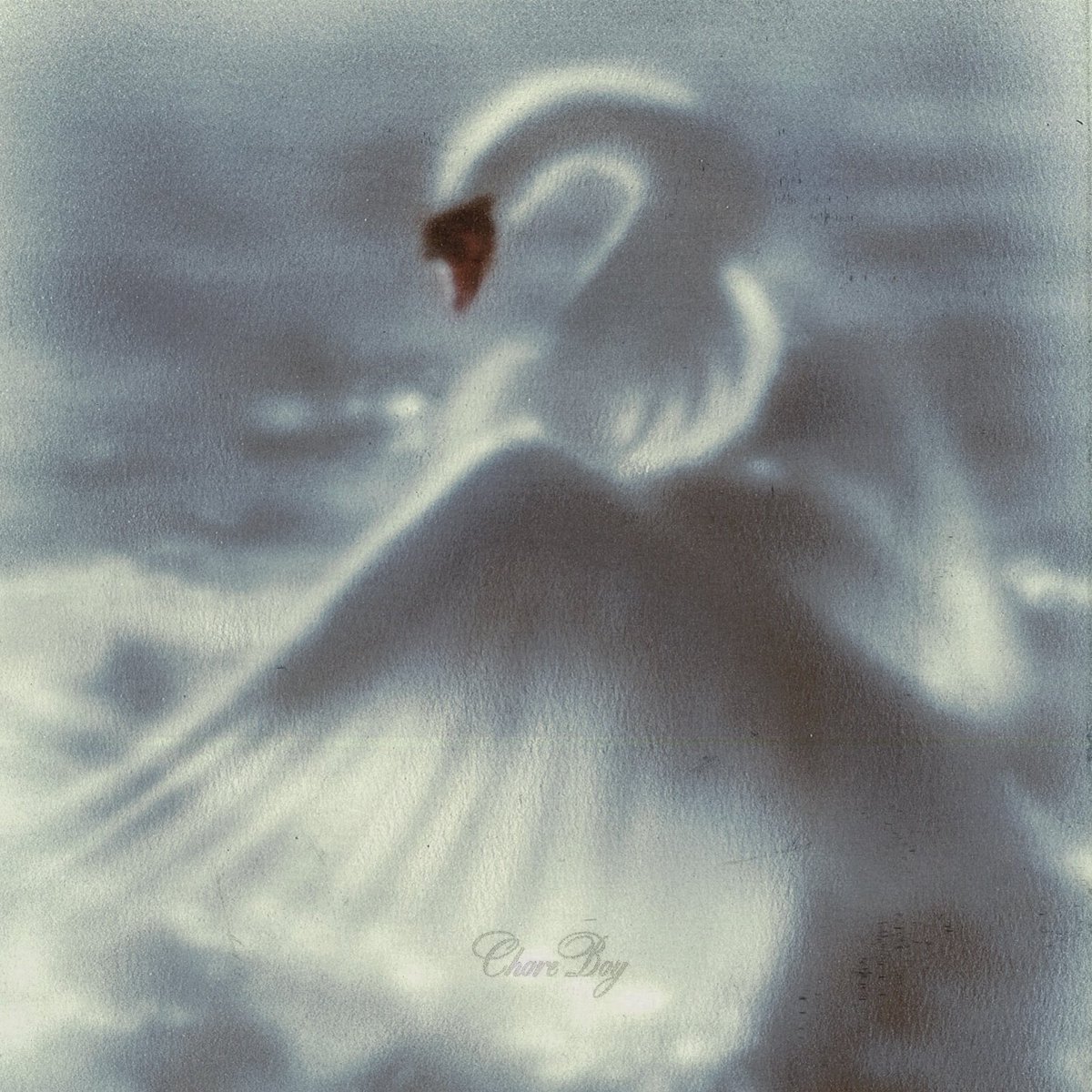 Chore Boy (feat. SALEM)

Out Now 🦢

open.spotify.com/track/5fdbDW0p…