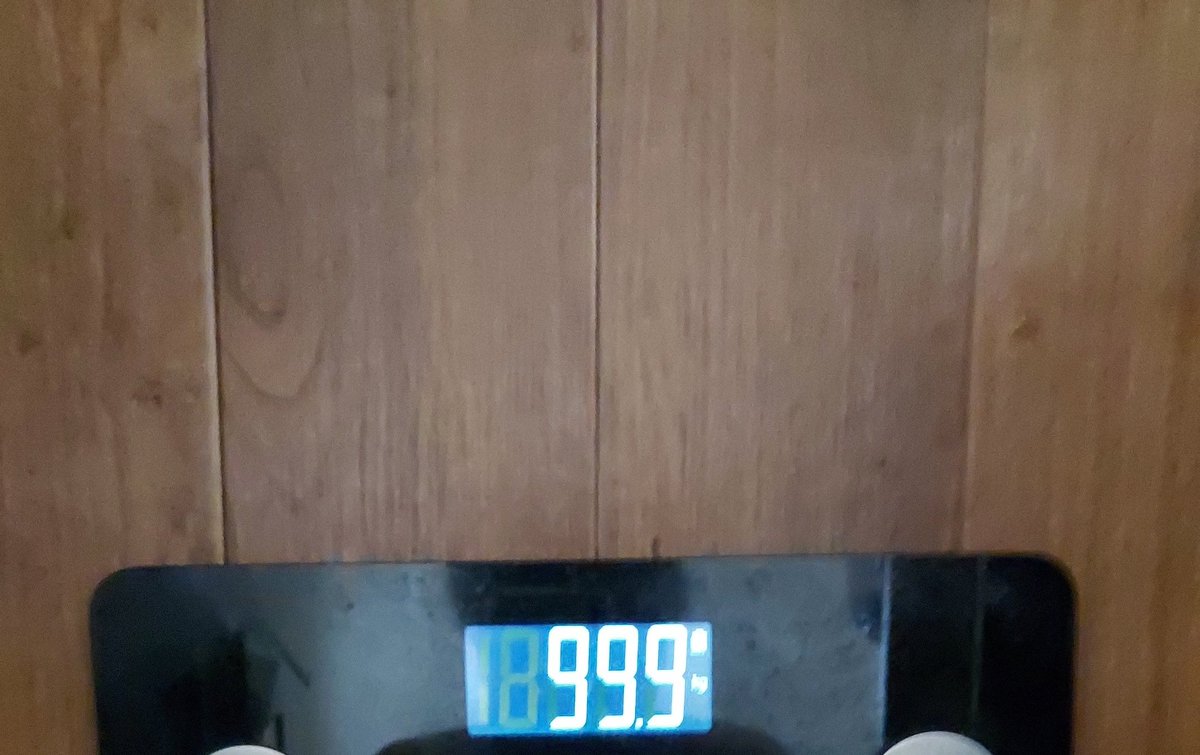 6月からダイエット初めて120キロあったんですが、100キロ切ってました(*‘ω‘ *)
配達員のブラック労働はやっぱりダイエットになるな(*‘ω‘ *)

#ダイエット記録