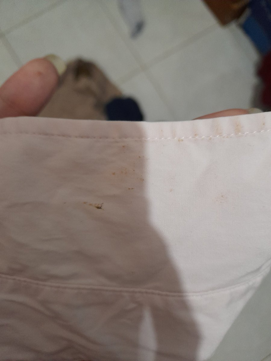 lovinlop69698's tweet image. spill seller ga jujur @raigf09 

awalnya dia nawarin kemeja slimfit babypink terus gua dm dan tanya ada minus atau engga. kalian liat sendiri jawabanya, dia bilang no defect. langsung lah gua co di hari itu juga. gua percaya karena foto produk dia juga ga ada noda (pict 4)