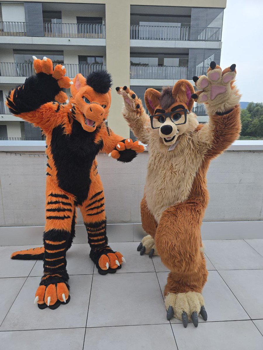 Chubby Fox Memories 🦊🐱🇮🇹 🔜Furizon (@joeypawmemories) on Twitter photo Fox + Dragon = an epic duo 🦊🐉
Joey teaming up with his friend Kurt for this week’s #FursuitFriday — bringing fluff and scales together in one photo ✨
Which side are you on: team fox or team dragon? 😏
#FurryFandom #Fursuit 🪡 <a href="/TheKarelia/">TheKareliaFursuits 🔜 Furnavia + Scotiacon + NFC</a> <a href="/cobyfursuits/">Coby Wong</a> 📸 <a href="/SnukTheKobold/">Snuk</a> Fox + Dragon = an epic duo 🦊🐉
Joey teaming up with his friend Kurt for this week’s #FursuitFriday — bringing fluff and scales together in one photo ✨
Which side are you on: team fox or team dragon? 😏
#FurryFandom #Fursuit 🪡 <a href="/TheKarelia/">TheKareliaFursuits 🔜 Furnavia + Scotiacon + NFC</a> <a href="/cobyfursuits/">Coby Wong</a> 📸 <a href="/SnukTheKobold/">Snuk</a>