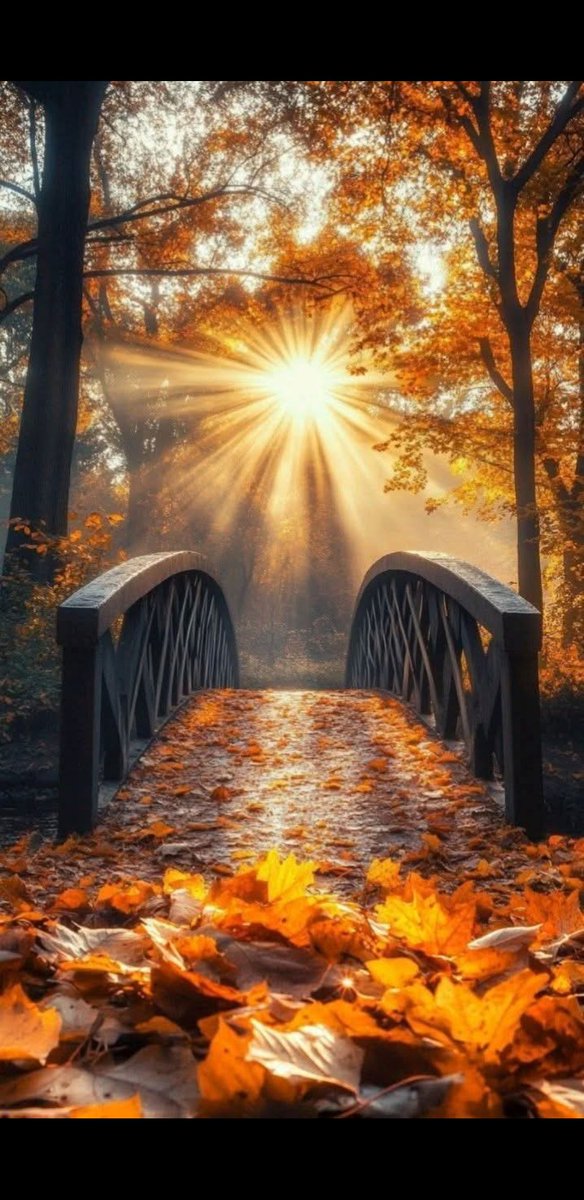 Have a lovely Friday and an enjoyable weekend 🌞🍂💛💃