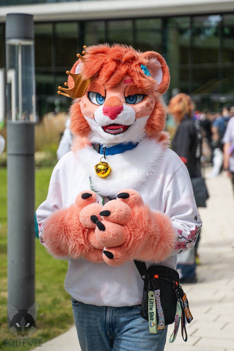 Feeling fabulous and mighty strolling through Hamburg with my lil crown &gt;:3

📸: <a href="/Schtewee/">Schtewee (committing crimes asexually during EF)</a> 

#ef29 #eurofurence29 #fursuit #FursuitFriday #furry