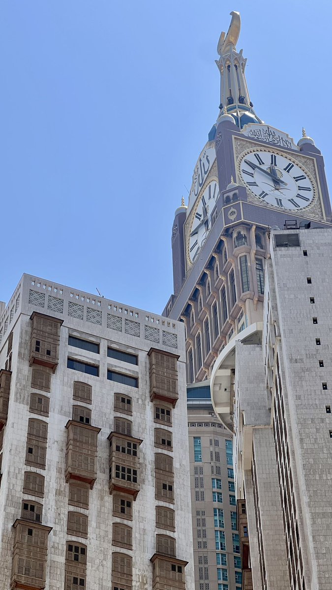 Дана 🐚 tweet media