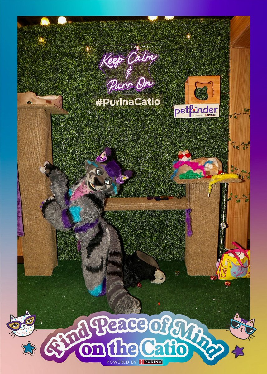 I think I might have been one of the biggest cats at CatCon. Thank goodness they had a scratching post that fit my size!! 🐈 

#PurinaCatio #CatCon #CatCon2025