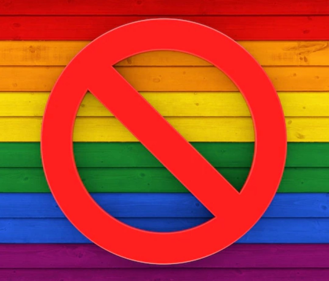 🚨🇸🇰 BREAKING: Slovakia Makes a Historic Move!

Slovakian Parliament Just Passed a Pro-Family Amendment Limiting LGBT Marriage and Gender Changes.