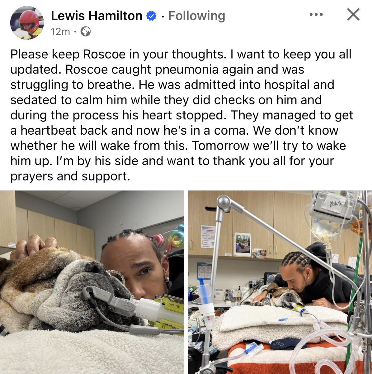 TGP Sport tweet media