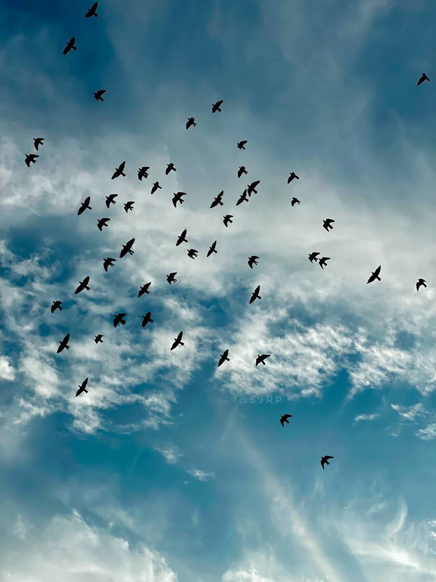 ﴿ والله يعلم وأنتم لا تعلمون ﴾ 

لا تكره حياتك لأجل مصائب حلت بك،
لا تدري كيف يغيرها الله لتكون لصالحك 
فالله يعلم عاقبة الأمور ..🤍