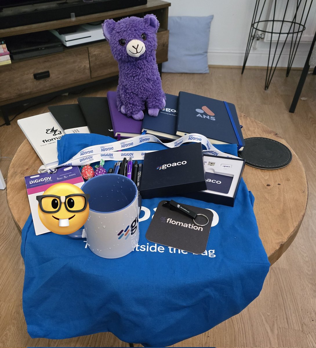 You get a good lot of merch from those work conferences - its like dealers den! The llama is defo the winner here 🥰🥰