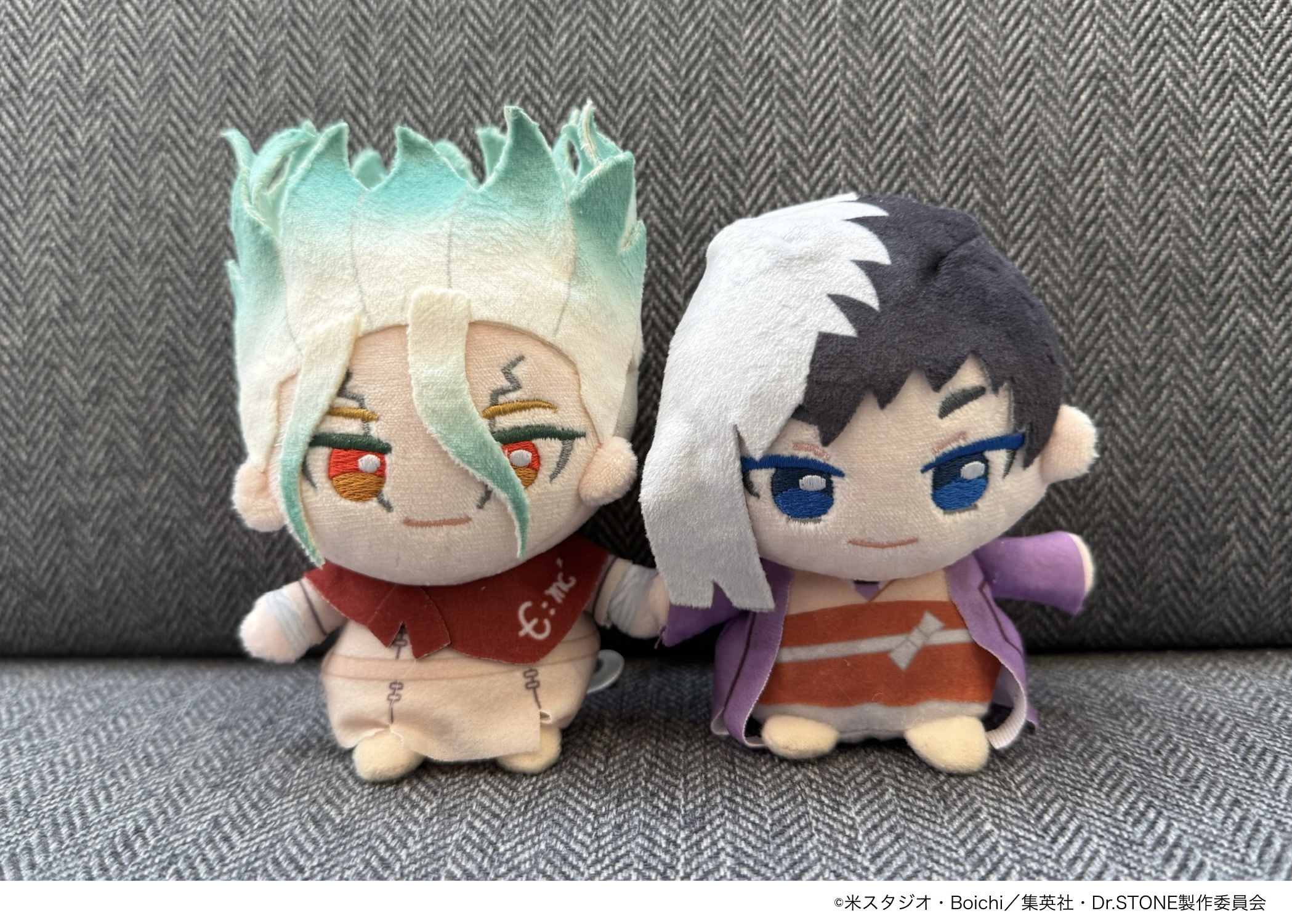 DUSTCELL ぬいぐるみ DUSTCELL】ぬいぐるみ Misumi ver.／5th Anniversary OFFICIAL