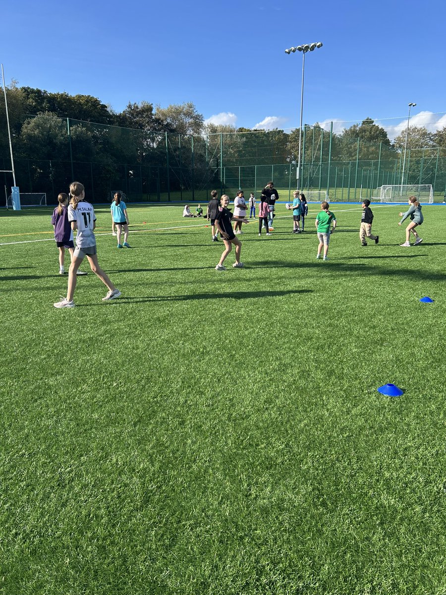 Rob Wolfe tweet media