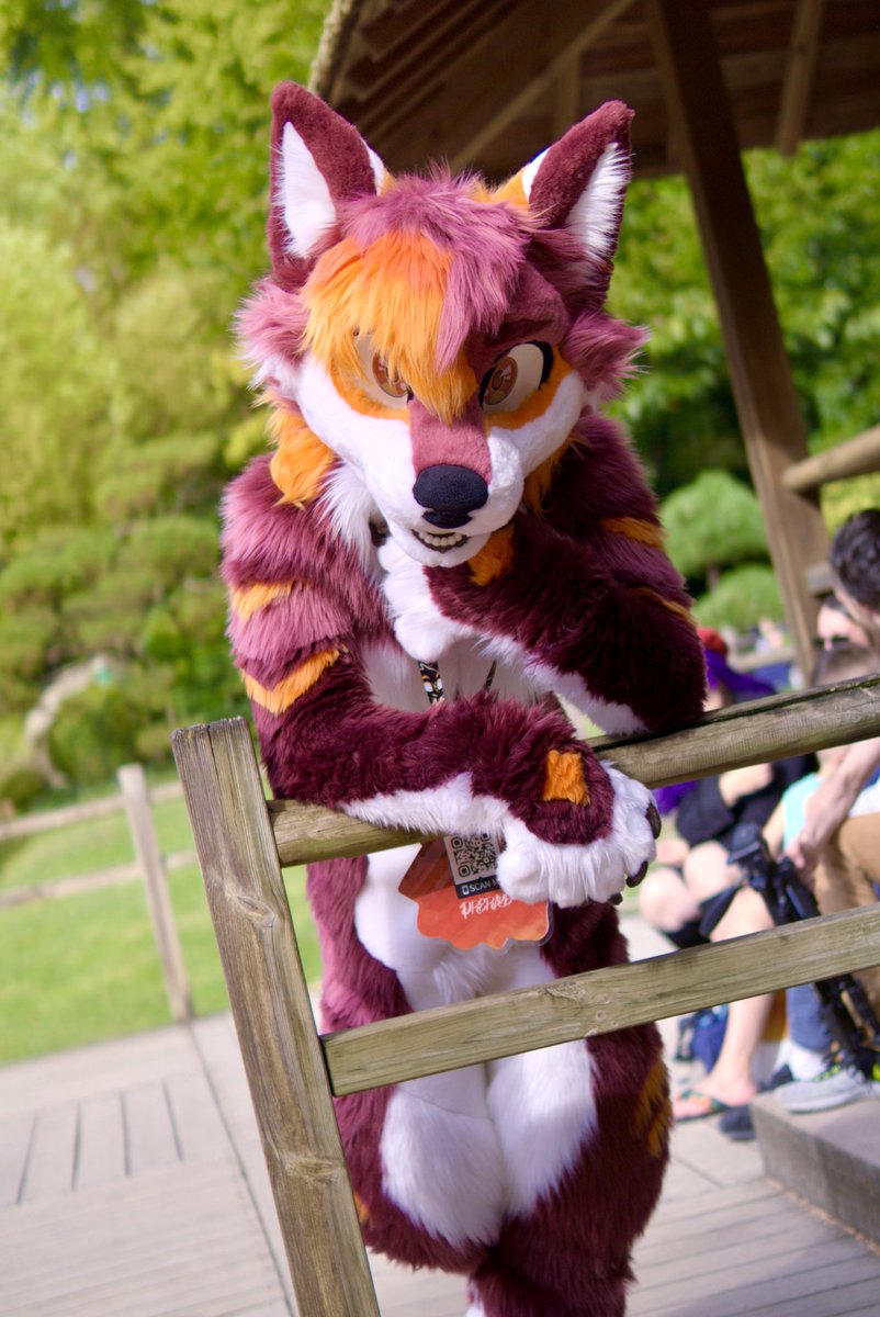 Prerayd 🔜 #FurEast2025 #FBL13 #ATT1 (@prerayd) on Twitter photo How about we chat while I rest?
📸: <a href="/Pan_TalaimonF/">Loucha</a> 
🪡: <a href="/HybridLFursuits/">HybridLabs Fursuits 🐺🐉</a> 
#FursuitsFriday How about we chat while I rest?
📸: <a href="/Pan_TalaimonF/">Loucha</a> 
🪡: <a href="/HybridLFursuits/">HybridLabs Fursuits 🐺🐉</a> 
#FursuitsFriday