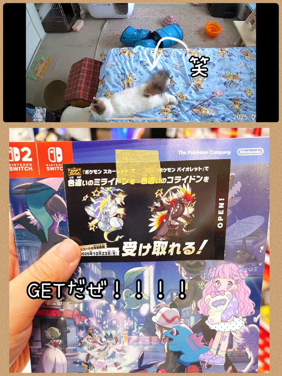 ◓⃙⁣👾🎮SHIRO🐯ྀི🪄︎︎◓⃙⁣ (@shiro1213_DM) / X