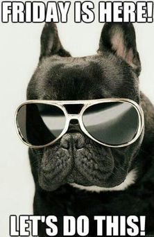 Good Morning all and Happy Friday