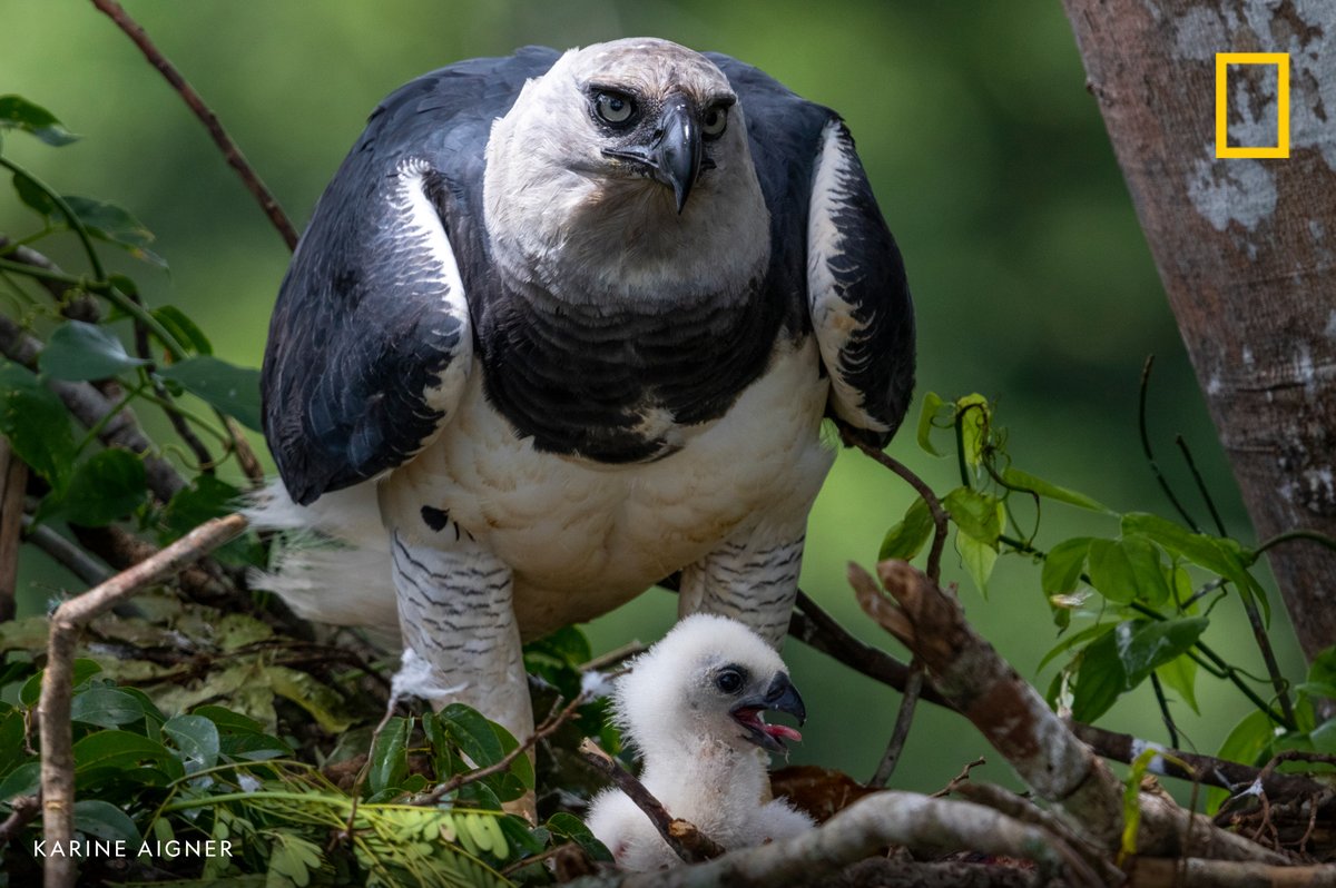 sksahabkhan's tweet image. 