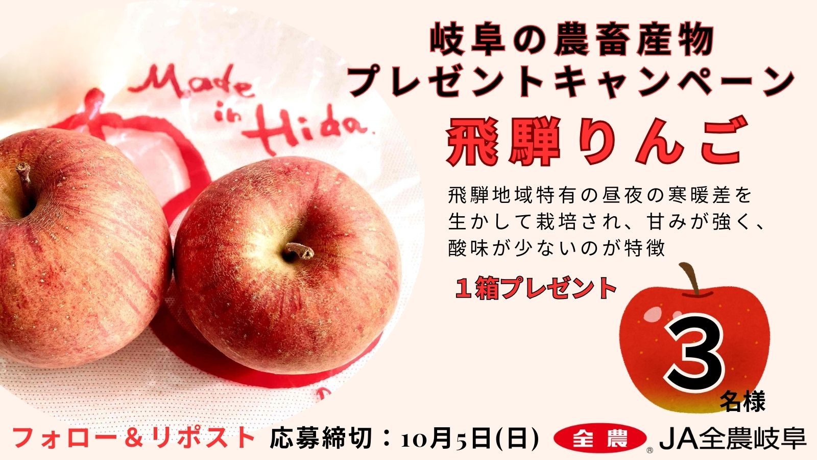 りんごさま専用ページ りんごさま専用ページ りんごさま専用 rinkaさま 専用 rinkaさま