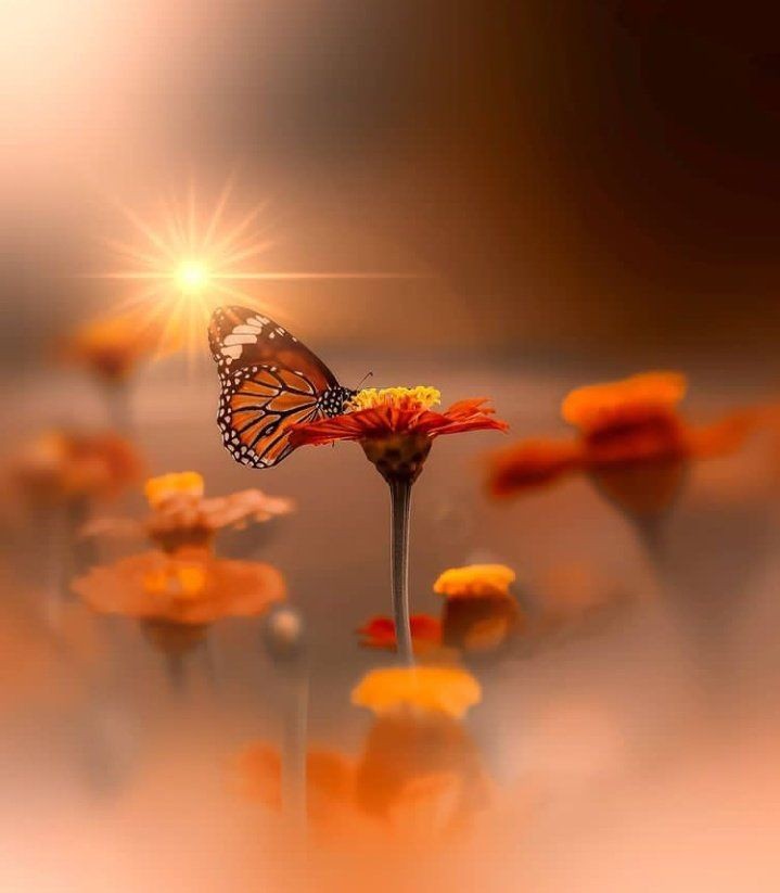 Ich vermisse nicht,was wir einmal waren.
Ich vermisse, was wir hätten sein können. 
Ich sah mehr in dir,als du wirklich warst.
Aber du sahst weniger in mir,als ich wirklich bin.