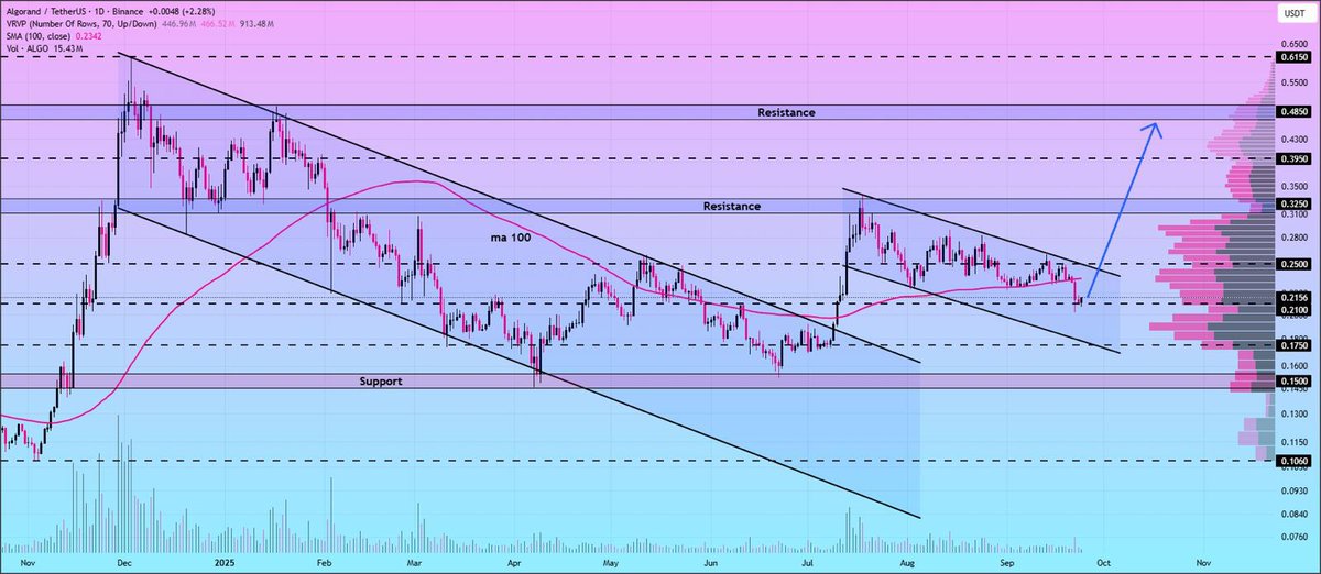 iihtishamm's tweet image. Algorand is showing a bullish flag pattern on the daily chart 📊 
The price is holding steady above the $0.20 support level, backed by strong trading volume. #Algo