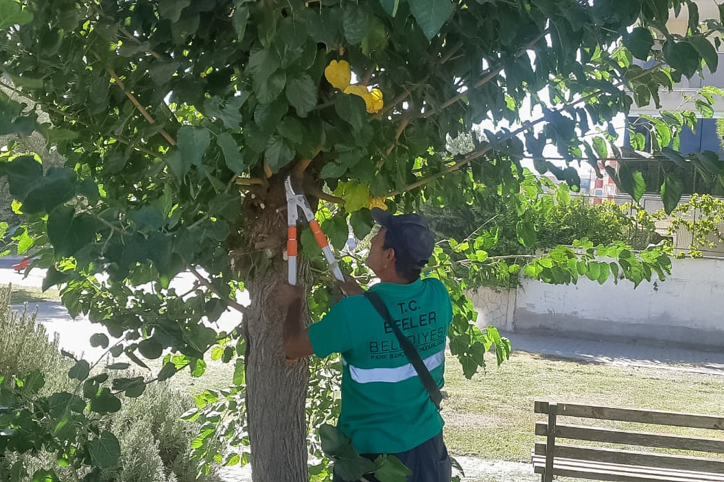 Daha temiz ve daha yaşanabilir bir Efeler için çalışmalarımız aralıksız sürüyor! 

Ekiplerimiz Adnan Menderes Mahallemizde genel çevre temizliği, ot biçme ve bakım çalışmalarını tamamladı.

Kentimizin dört bir yanında hizmetlerimize devam edeceğiz.