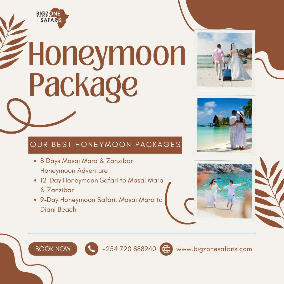 SafarisBigzone's tweet photo. ✨ Unforgettable Honeymoon Journeys Across Kenya – Only with BigZone Safaris

🌐Visit our Website https://t.co/WhzjyuieKn

#BigZoneSafaris #KenyaHoneymoonSafari #MasaiMaraHoneymoon #ZanzibarHoneymoon #DianiBeachHoneymoon #KenyaSafariPackages https://t.co/jyqajiqPiP