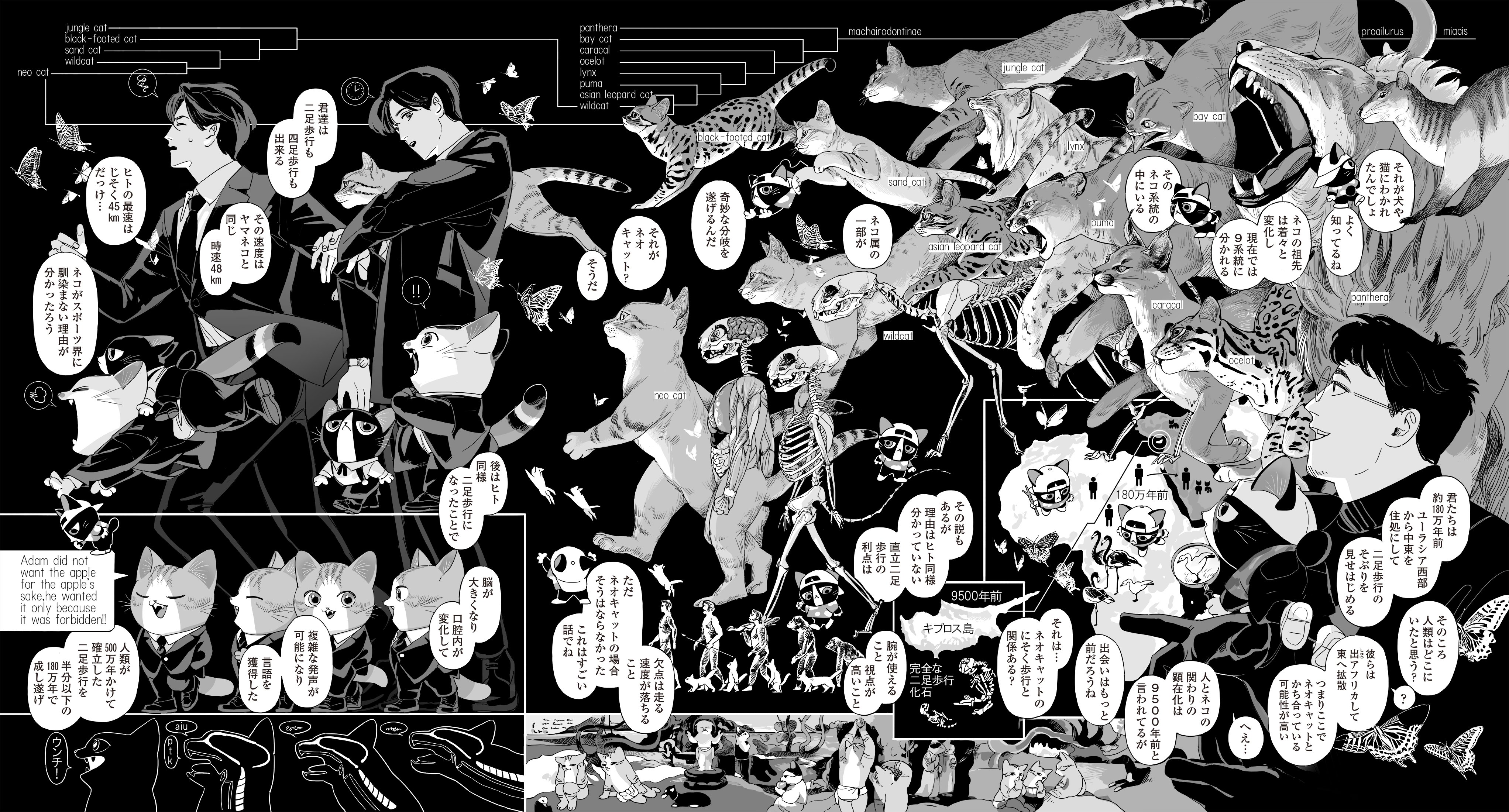 フィール・ヤング 2017年 1月号 【即購入不可】 FEEL YOUNG (フィールヤング) 2025年 06月号 [雑誌] | フィール