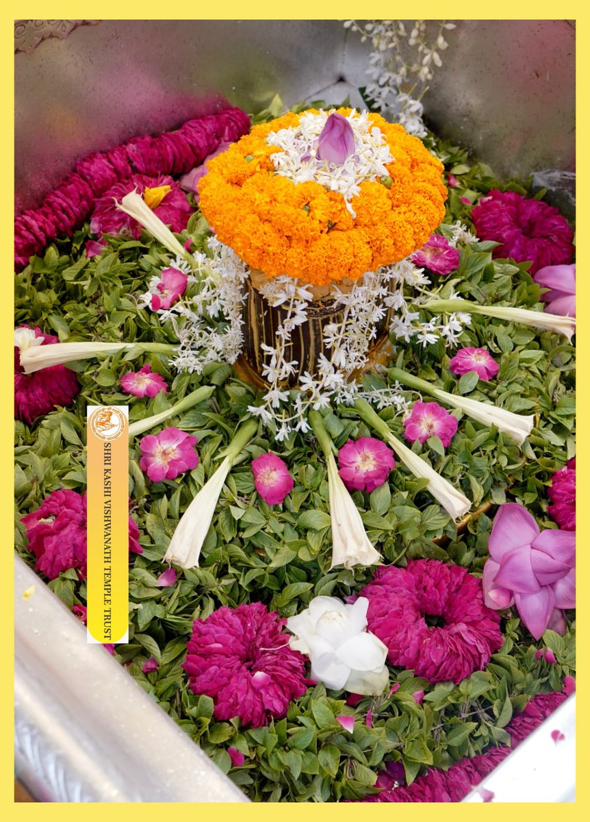 ShriVishwanath's tweet photo. श्री काशी विश्वनाथ जी की मध्यान्ह-भोग आरती I
#kashi #darshan #kashivishwanath #VishwanathDham #blessings https://t.co/09L5GPAVYQ