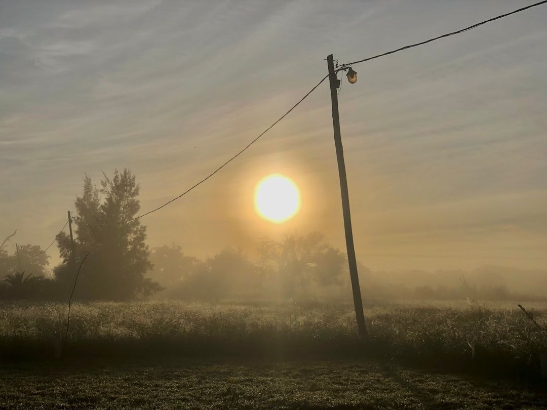 HIPHuntsville's tweet image. Good morning, #5amwritersclub! This morning might not feel like magic. But the act of writing always is. 🌟
#AmWriting #WritingRoutine #6amwritersclub #WritingCommunity #AmWriting #AmQuerying #IndieAuthor #AuthorsOfTwitter #WIP