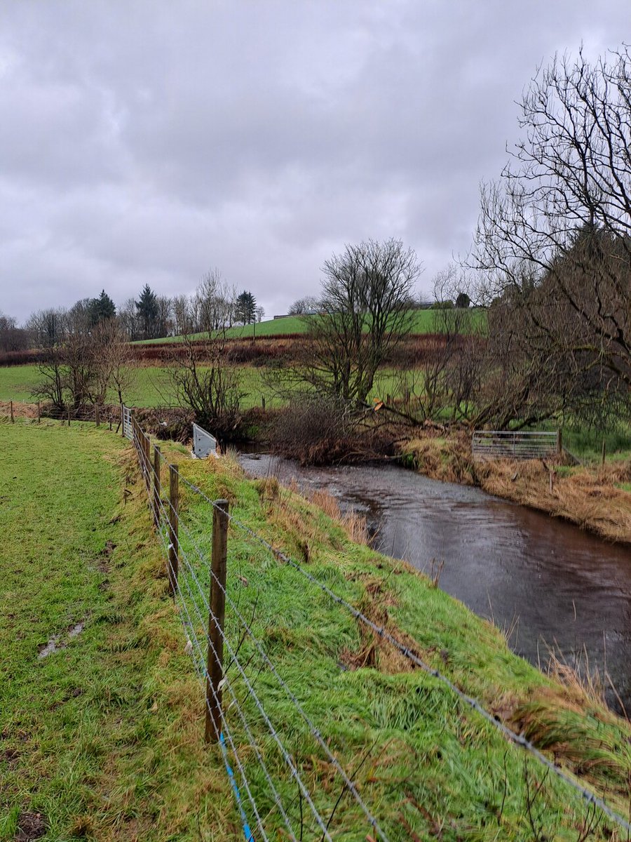 loughsagency's tweet photo. 🌊 As part of our Fisheries &amp; Angling Improvement Strategy, Loughs Agency invested £13.5k in Glenhull Catchment works:
✅ 1 pump + 1 drinking trough
✅ 100m riverbank stabilised
✅ New angling access stile
Boosting biodiversity &amp; river health! 🌱 https://t.co/TaS3jkFtOe