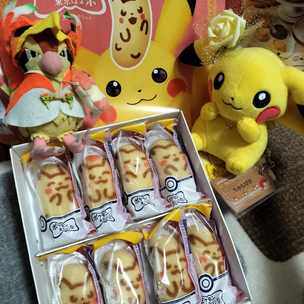 ポッポのトレーナー🐥（ﾁﾋﾞ工房） (@poppo_016_pika) / X