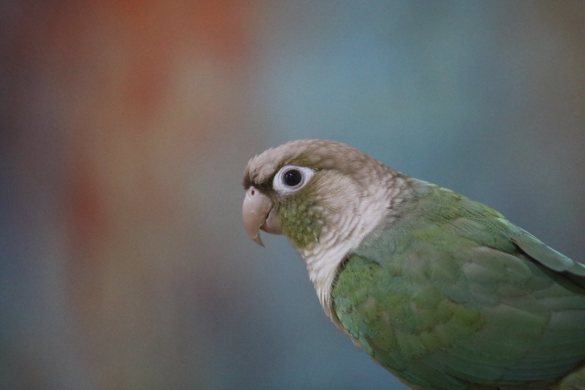 Mike Feetham tweet media