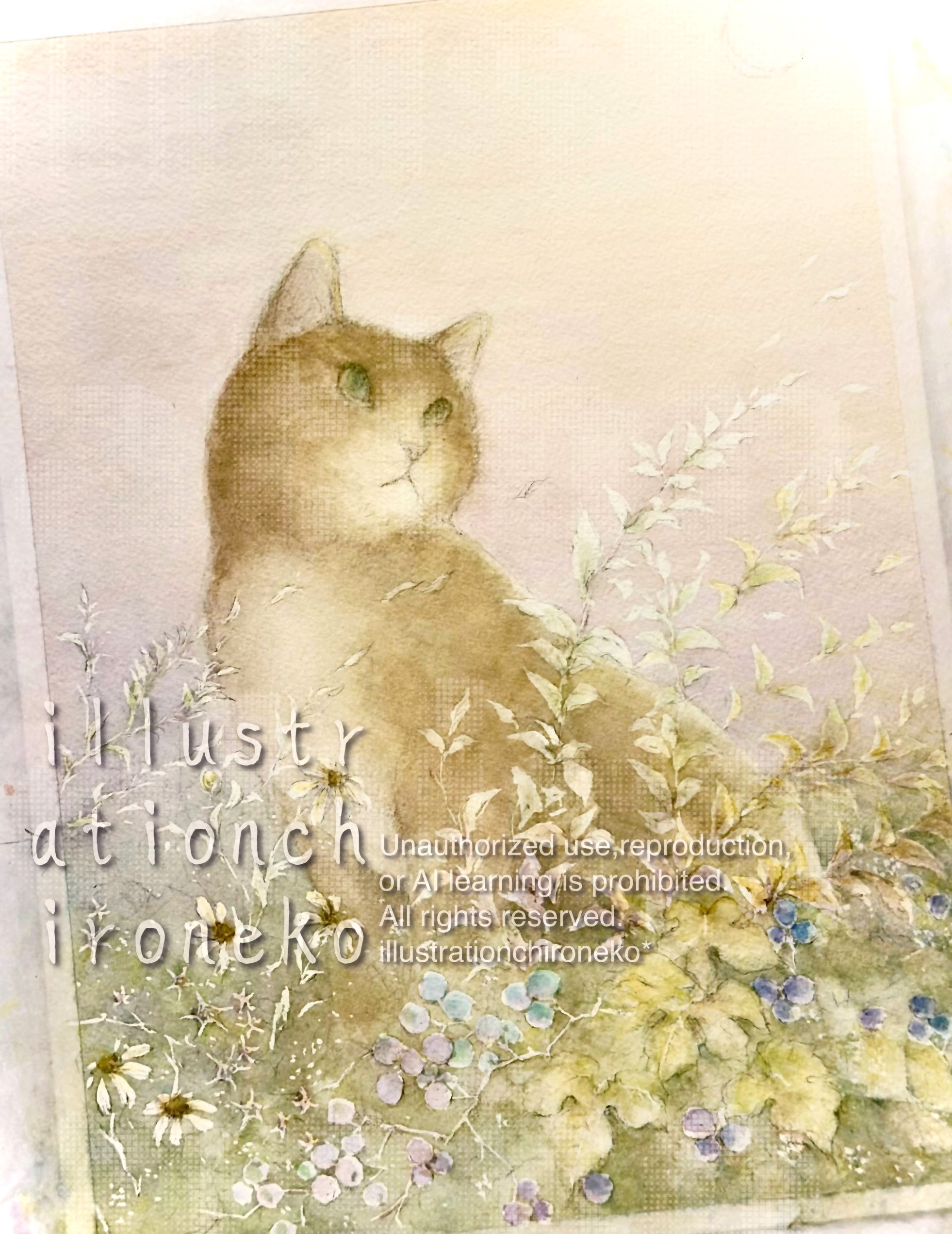 【うしろねこ(*^ω^*)】 ちろ猫 on X: 