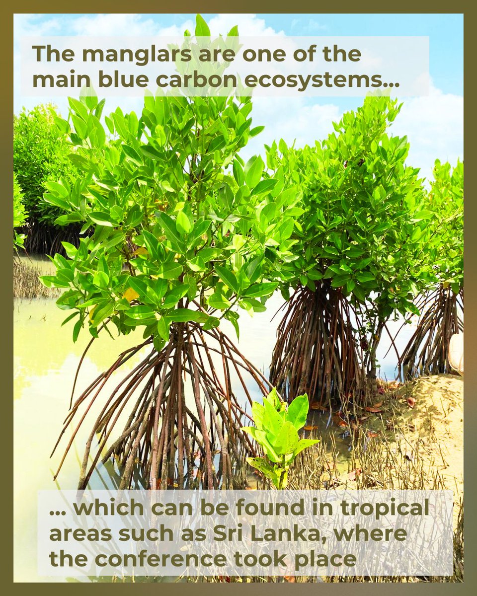 Group of Aquatic Macrophyte Ecology tweet media